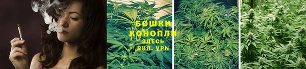 мет Аркадак