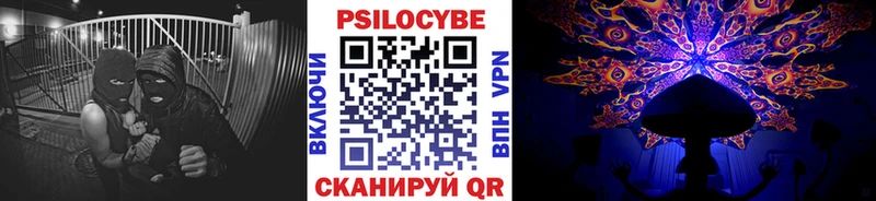 Псилоцибиновые грибы Psilocybine cubensis  Гдов 